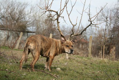 udachnye-foto-sdelannye-v-podxodyashhij-moment-1-14.jpg