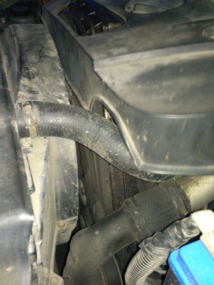 IMG_20170309_190614.jpg