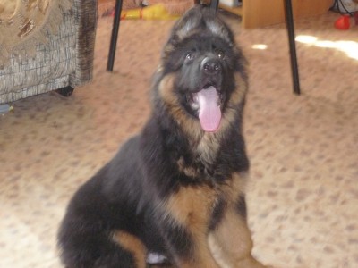 image (8).jpg