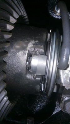 20180323_003259_1.jpg