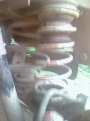 picture_00171.jpg