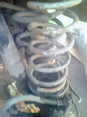 picture_00168.jpg