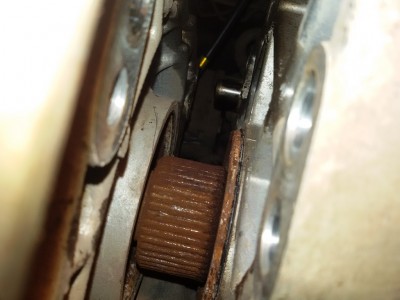 20181027_134904 - копия.jpg