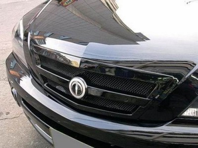 TBBL-GL TOMATO KIA SORENTO Решетка радиатора  Lite.JPG