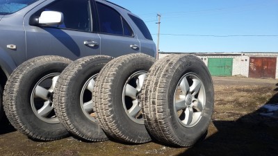 20190406_134545.jpg