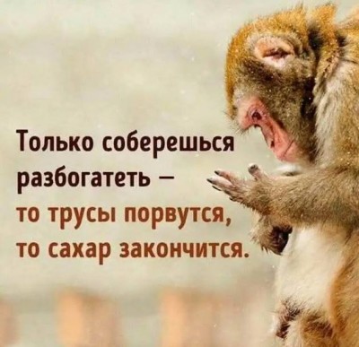 143002341_3085196_original.jpg