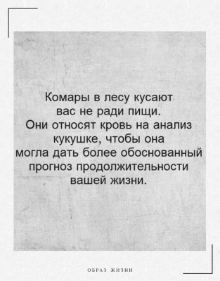 3D6A6538-8989-4630-B308-8B7C95CE25F1.jpeg