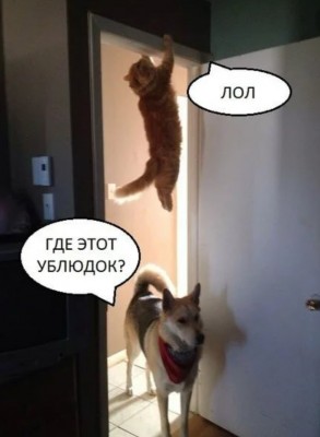 38E5670A-4C76-4D20-A399-E6CA8AE86171.jpeg