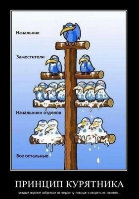 принцип курятника.jpg