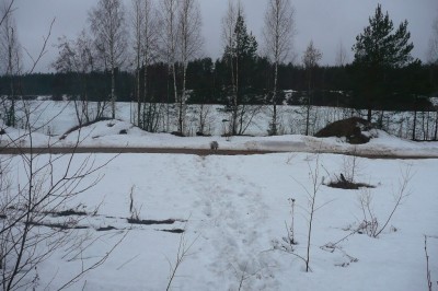 P1030319_1.jpg