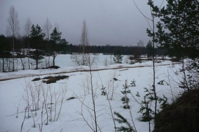 P1030320_1.jpg