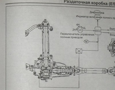 SDC12016_cr-2.JPG