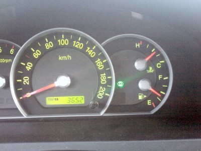 IMG0265.jpg