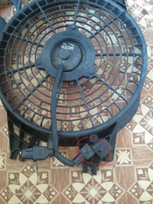 2011-07-17 12.47.21.jpg