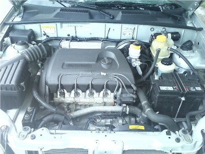 IMG0331.jpg