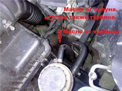 f9f908881a4f.jpg