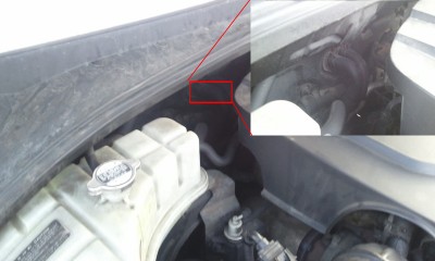 IMG_21-12-2011_114553.jpg