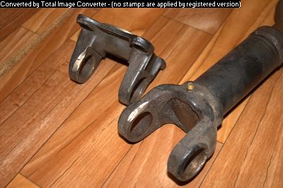IMG_2802 (converted).jpg