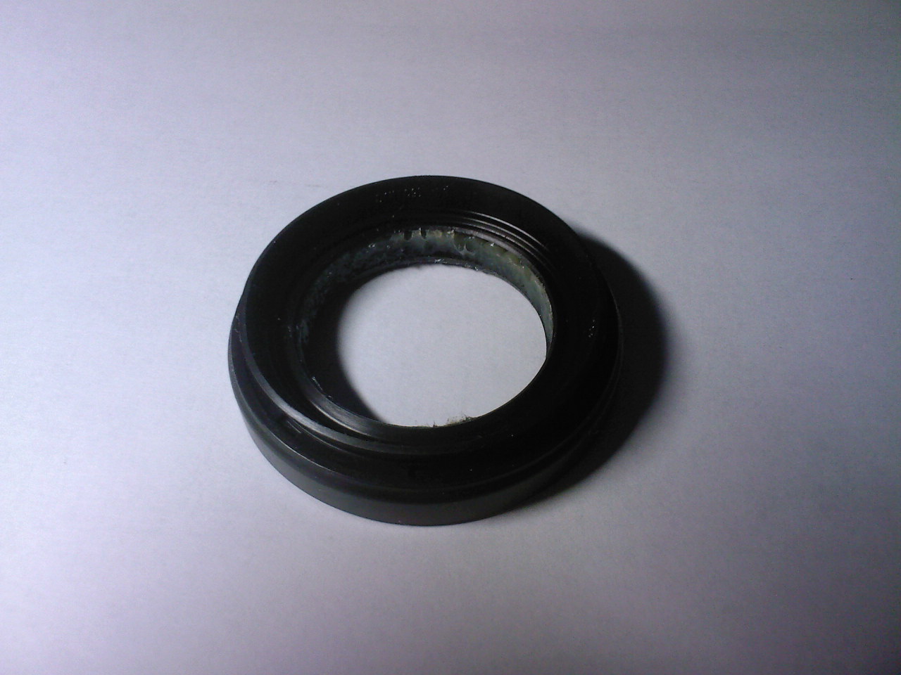 SP_A0072.jpg