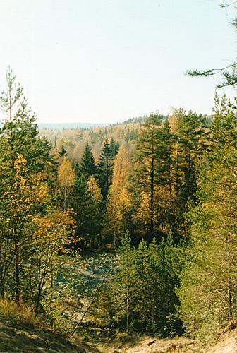 Вид с дота в Орехово