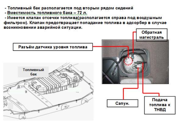 Фрагмент из презентации