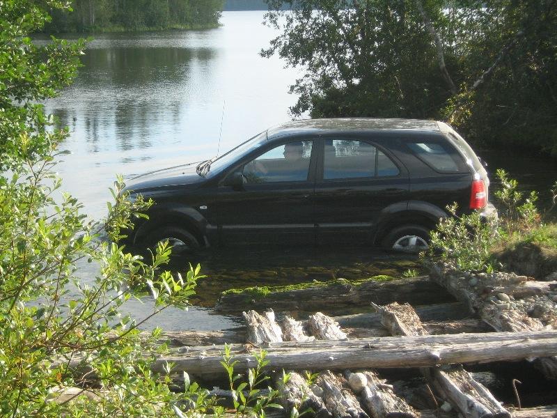малина 2010