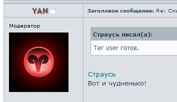 Тэг user