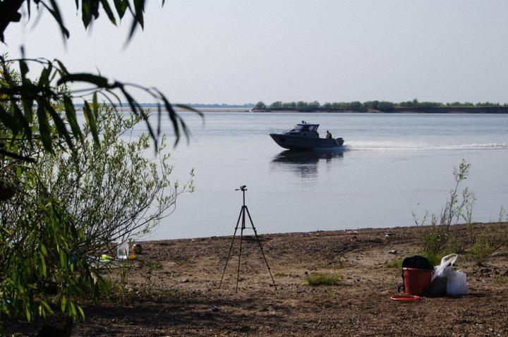 2 июня - отмечаем День здорового питания