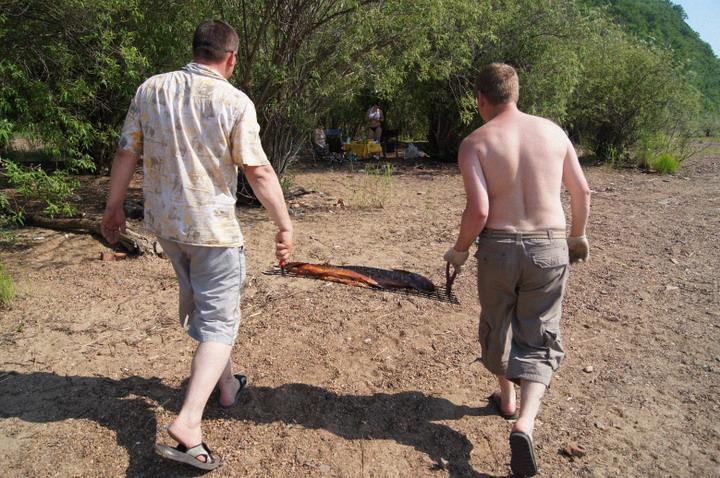 2 июня - отмечаем День здорового питания