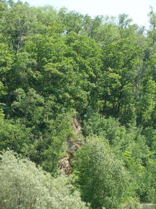 2 июня - отмечаем День здорового питания