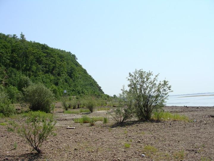 2 июня - отмечаем День здорового питания
