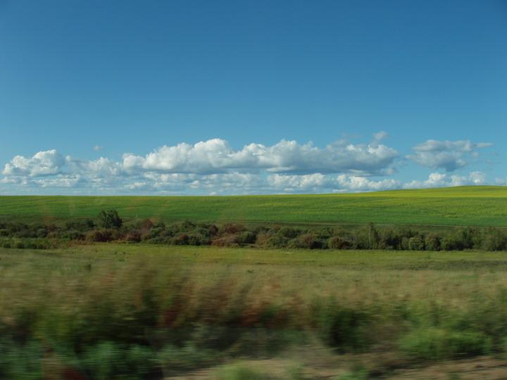 Дорога.Поля