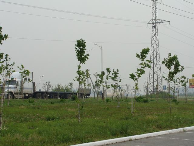 День рыбака