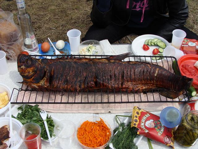 Вот и первый день рождения