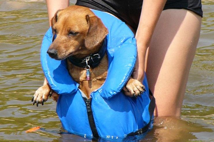 Безопасность на воде.